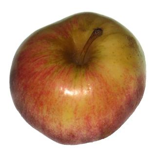 Äpfel, mittel-süß
