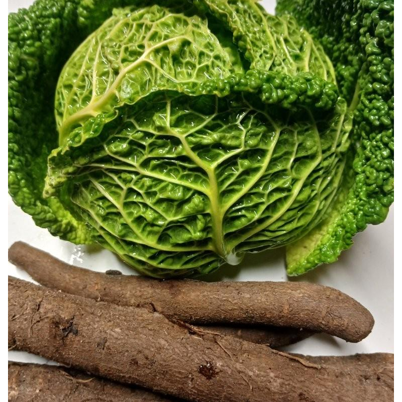 Schwarzwurzel-Wirsing Gemüse mit Penne